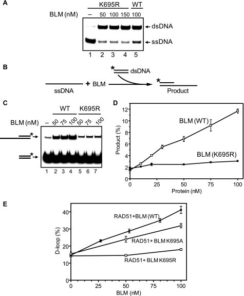 FIGURE 11.