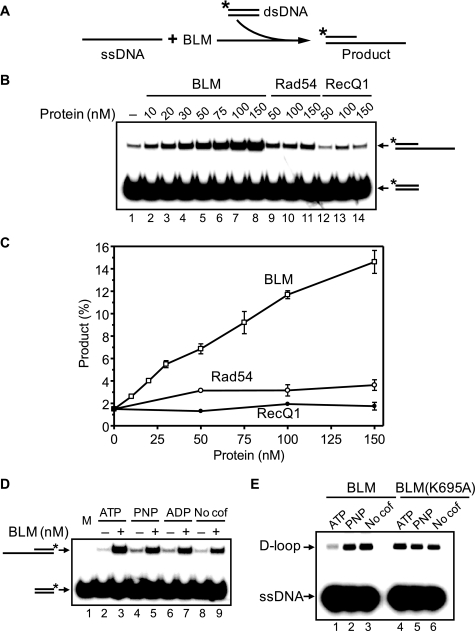 FIGURE 10.