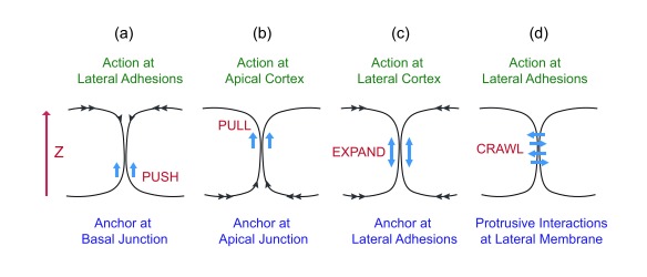 Figure 3. 