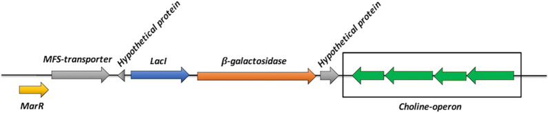 Fig. 3