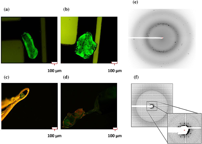 Fig. 4: