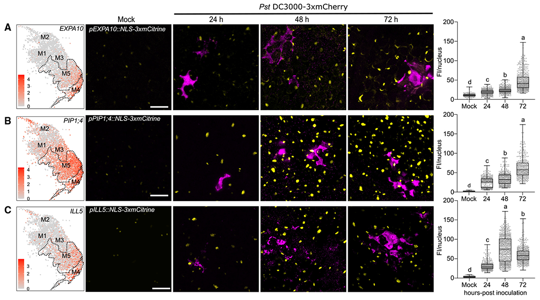 Figure 4.