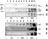 FIG. 8.