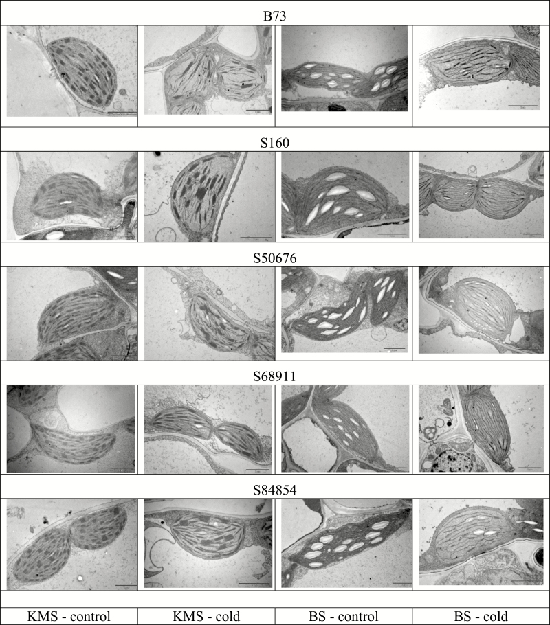 Fig. 5.