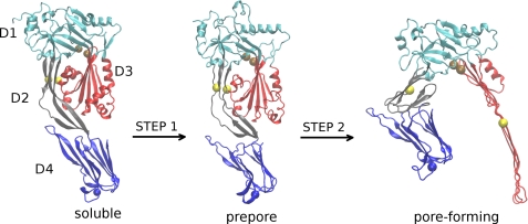 FIGURE 1.