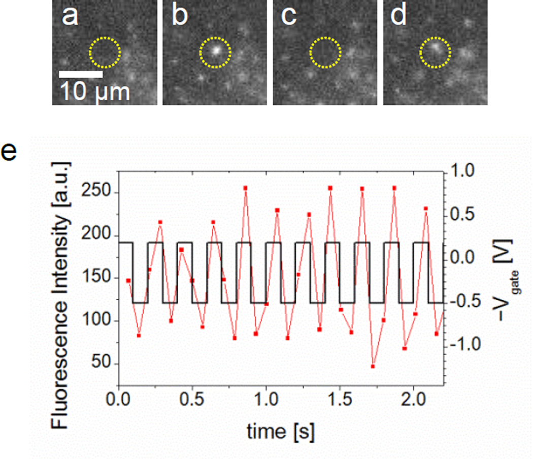 Figure 5