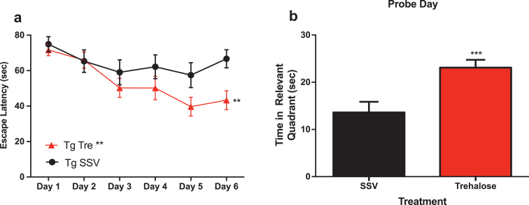 Fig.2