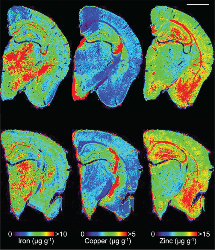 Fig.1