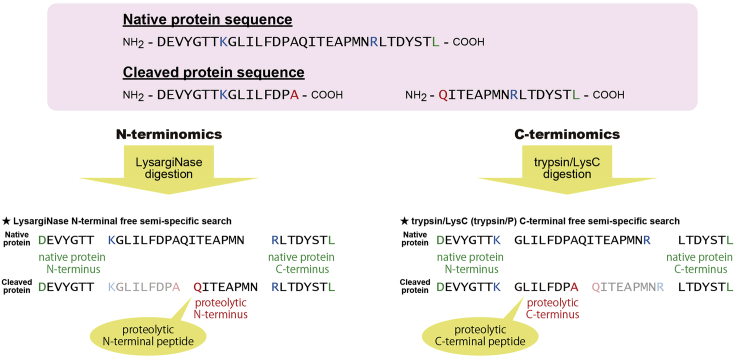 Figure 5