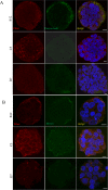 Fig 5