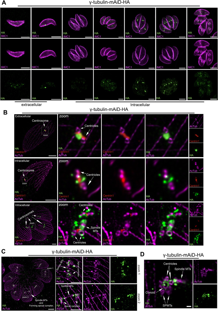 FIGURE 2: