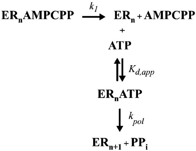 Scheme 3