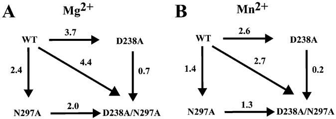 FIGURE 3