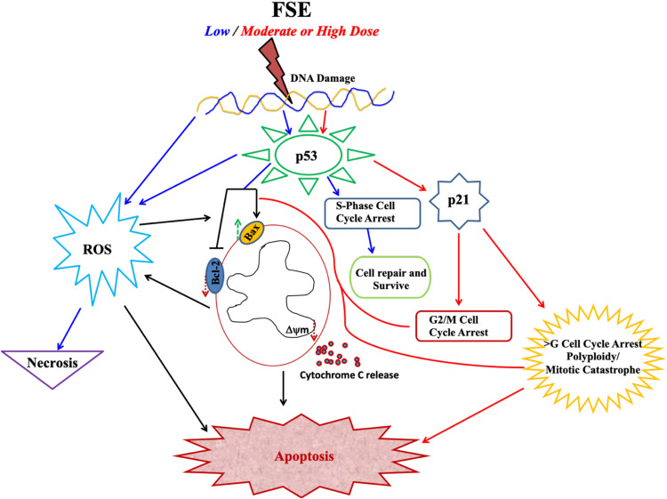 Figure 14