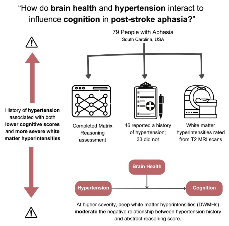 Graphical abstract