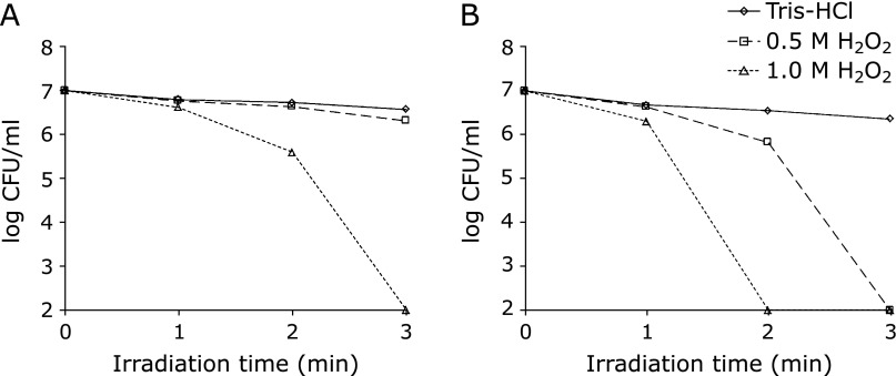 Fig. 2