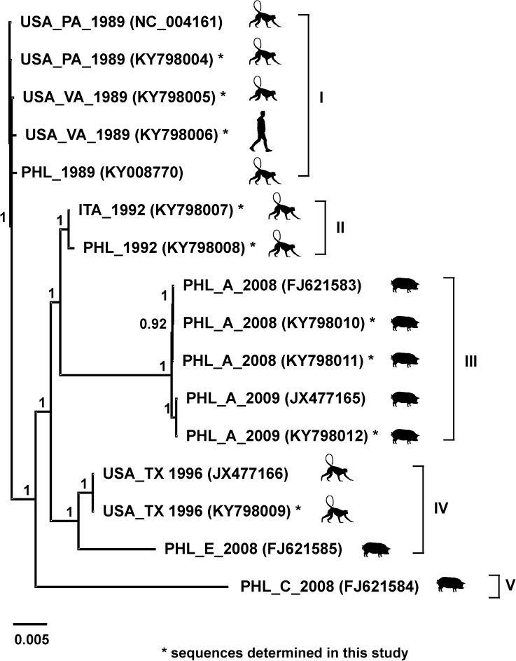 Fig 2