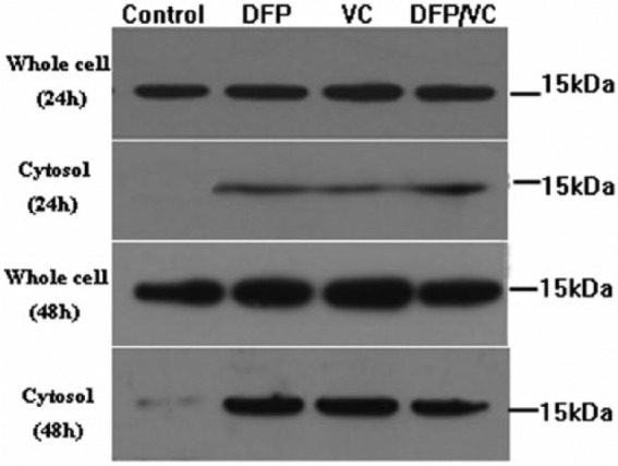 Figure 7.