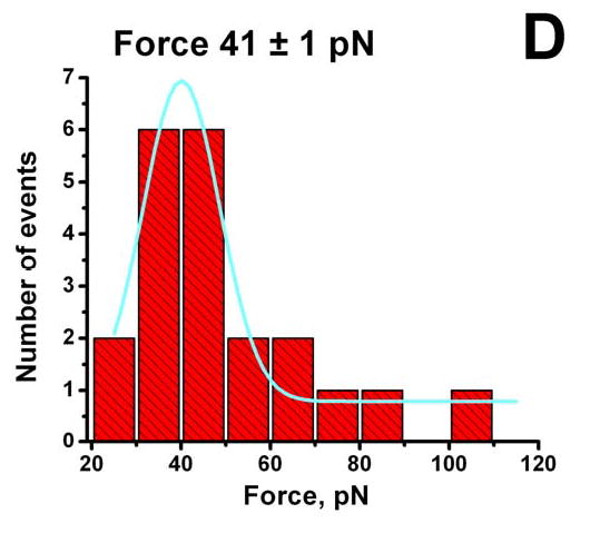 Figure 2D