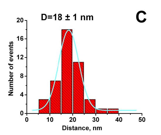 Figure 2C