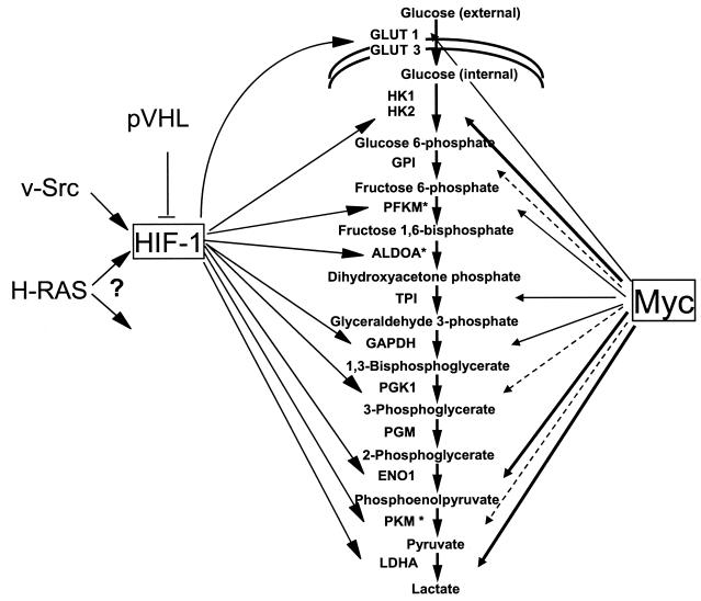 FIG. 9.