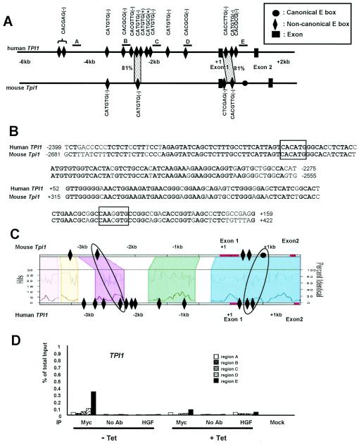 FIG. 8.