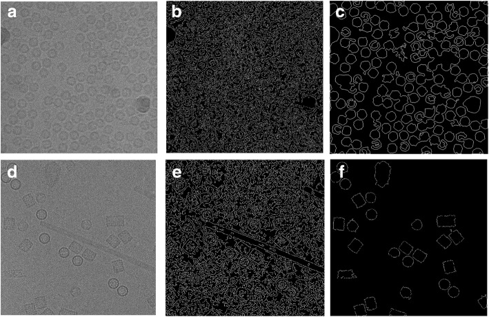 Fig. 10