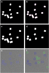 Fig. 14