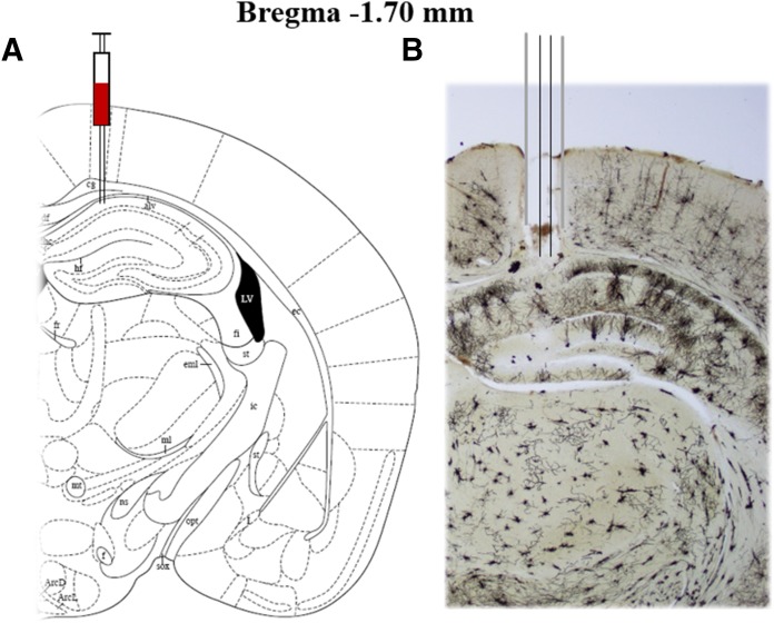 Fig. 3.