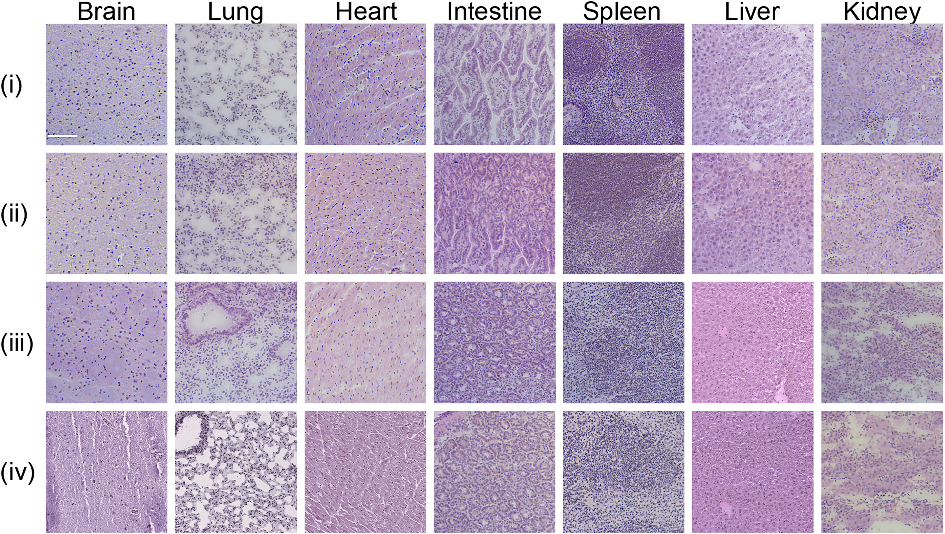 Figure 6: