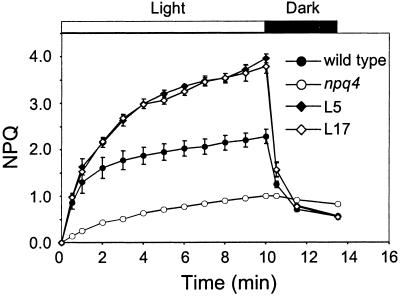 Fig 4.