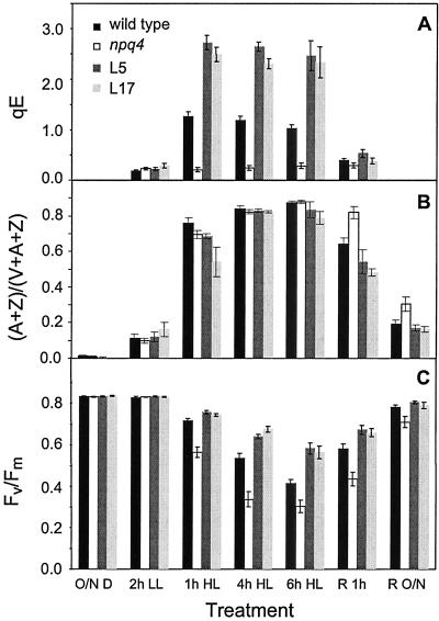 Fig 5.