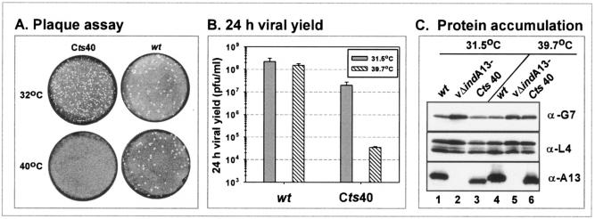 FIG. 9.