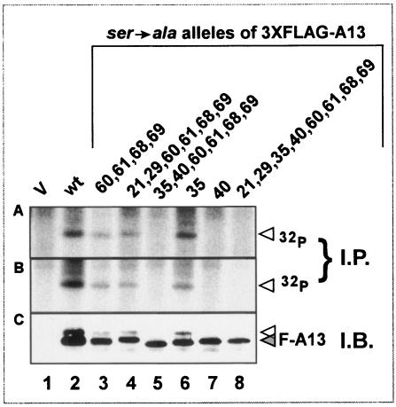 FIG. 8.