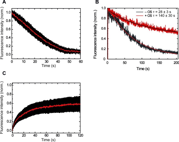 Figure 2—figure supplement 2.