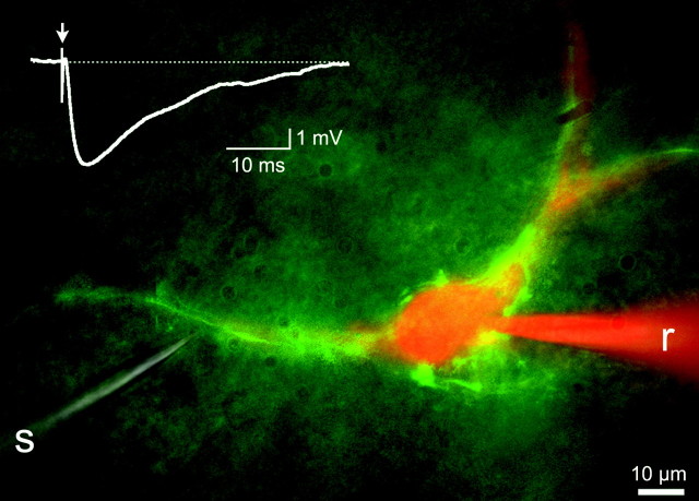 Figure 3.