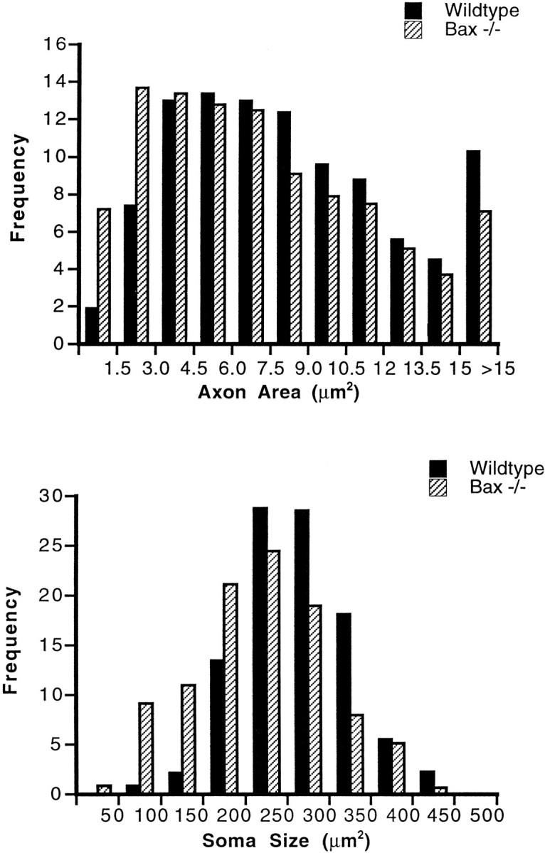 Fig. 8.