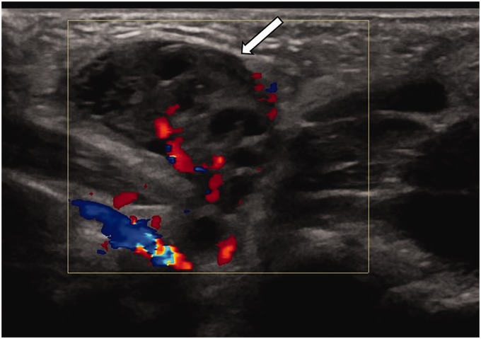 Fig. 8.