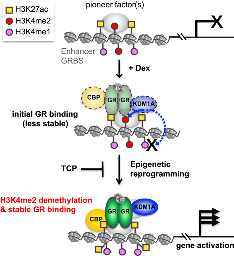 Figure 6.