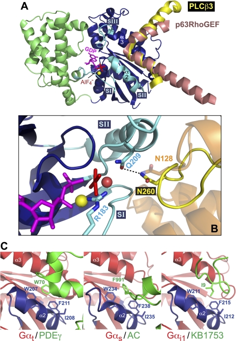 Fig. 10.