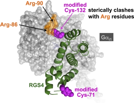 Fig. 8.