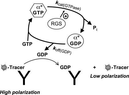 Fig. 9.