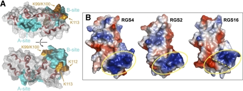 Fig. 7.