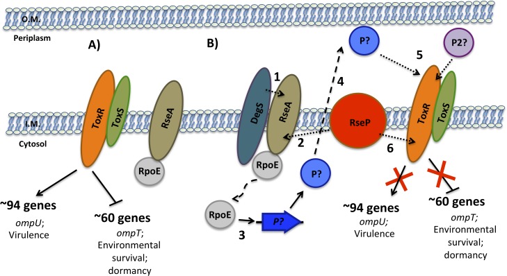 Fig 8