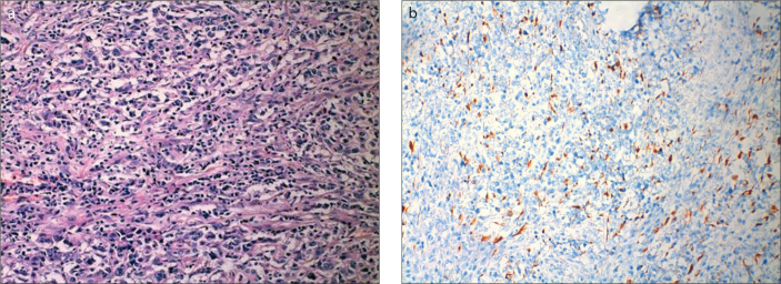 Figure 2. a, b.