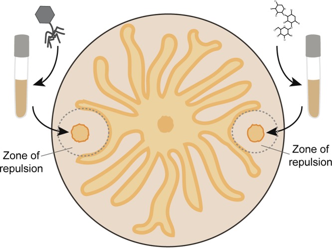 FIG 1