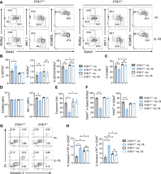 Figure 7