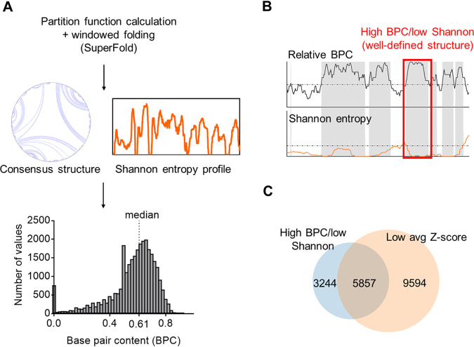 FIG 2