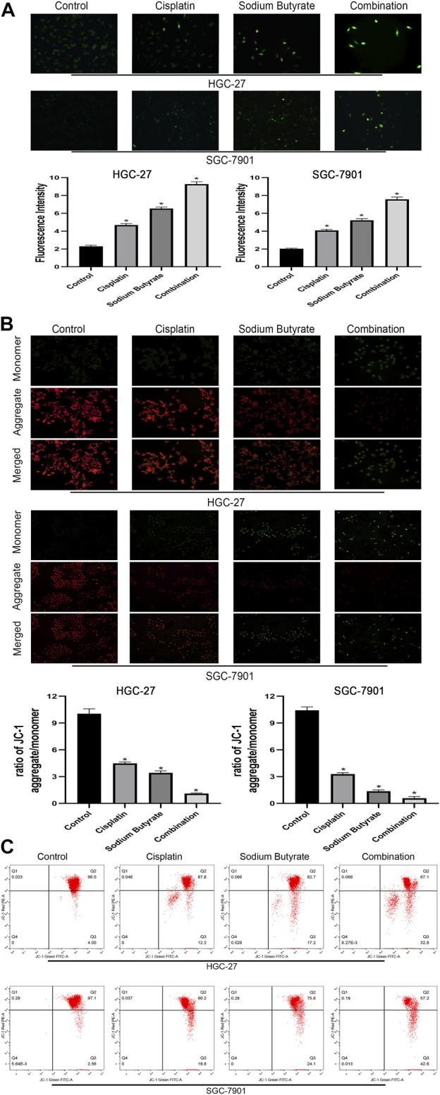 FIGURE 4