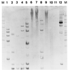 FIG. 1